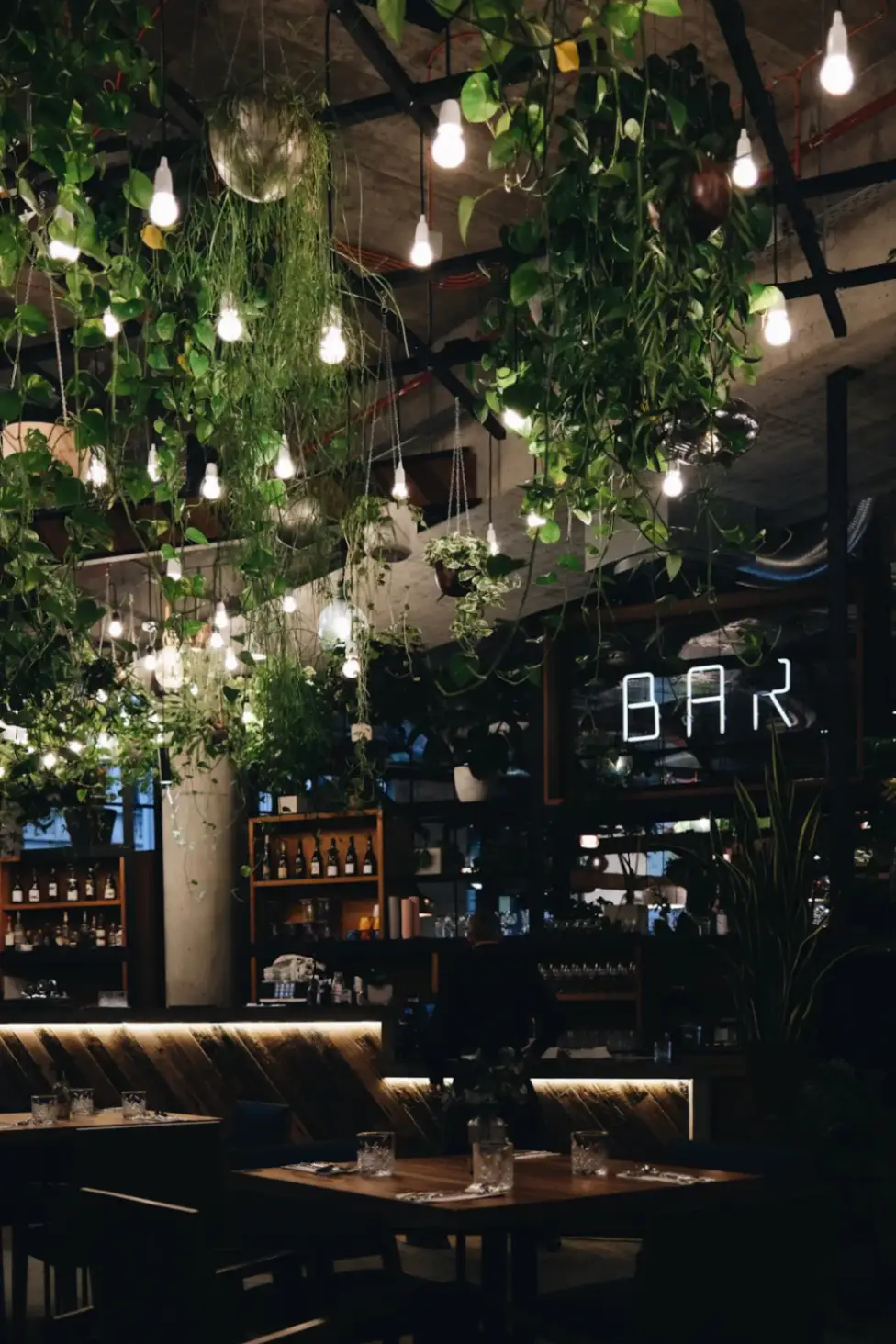 Themed Bars