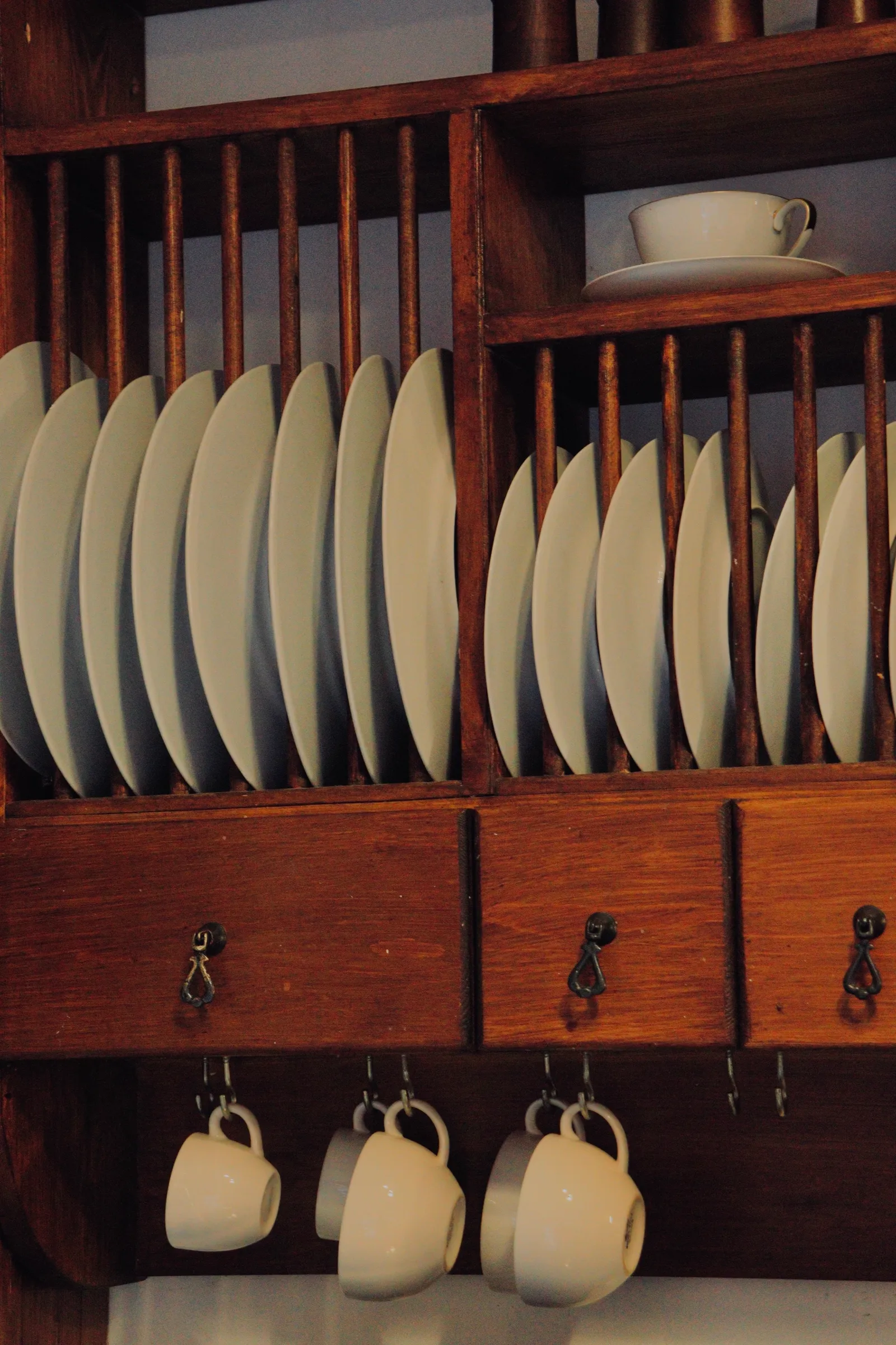 Organization