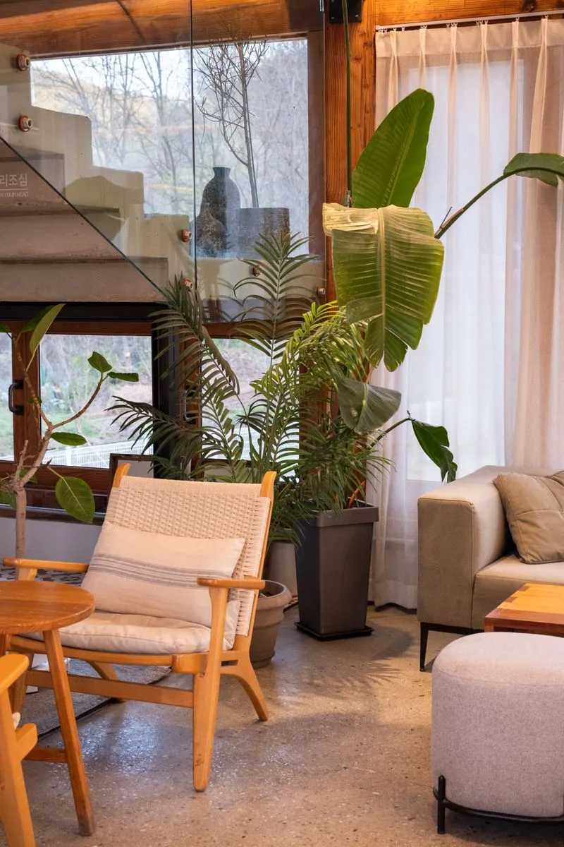 Interior Layout Design