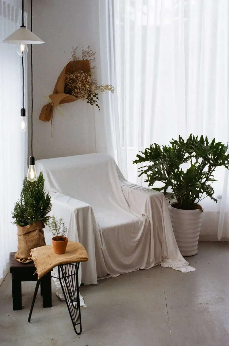 Affordable Painting
