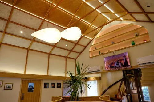 Creative ceiling lighting and layered design possibilities
