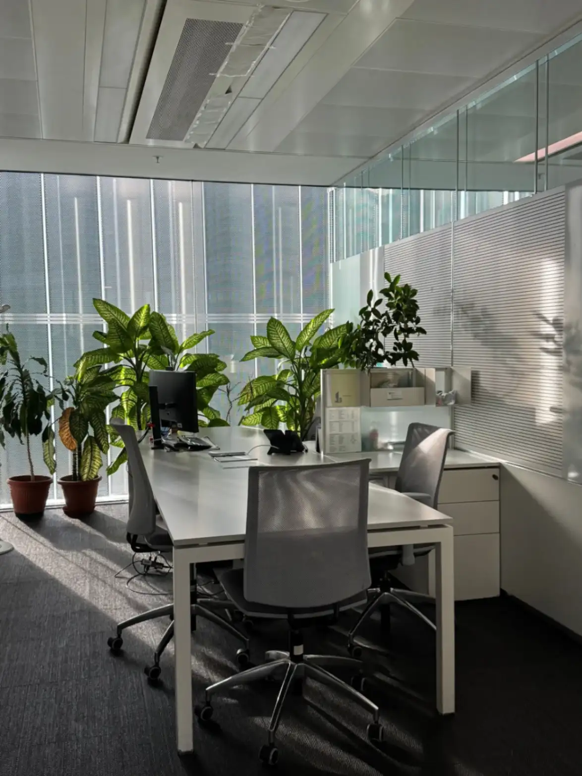 Biophilic Partitions
