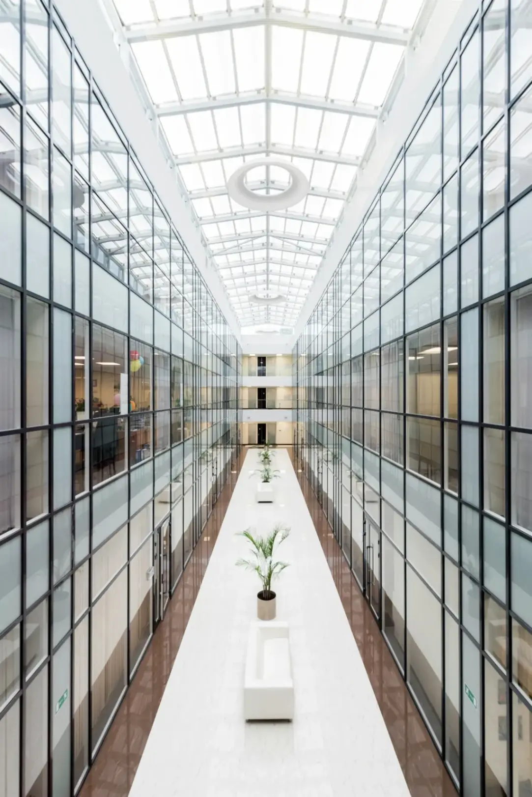 Glass Partitions