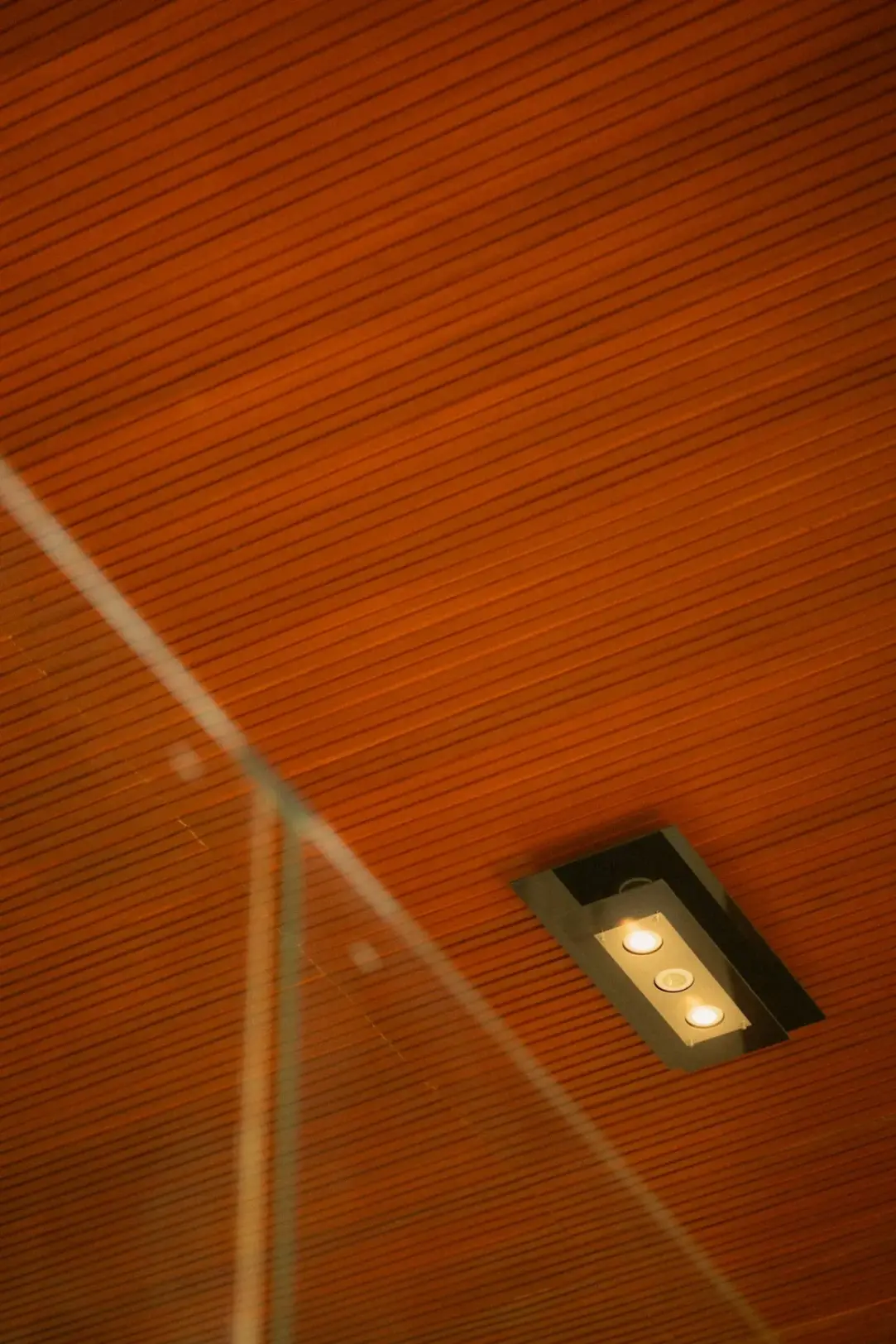Ceiling Lighting
