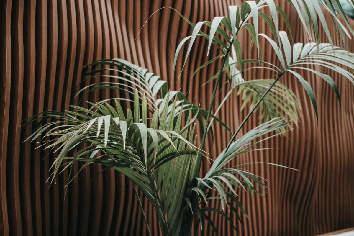 Decorative Wall Panels
