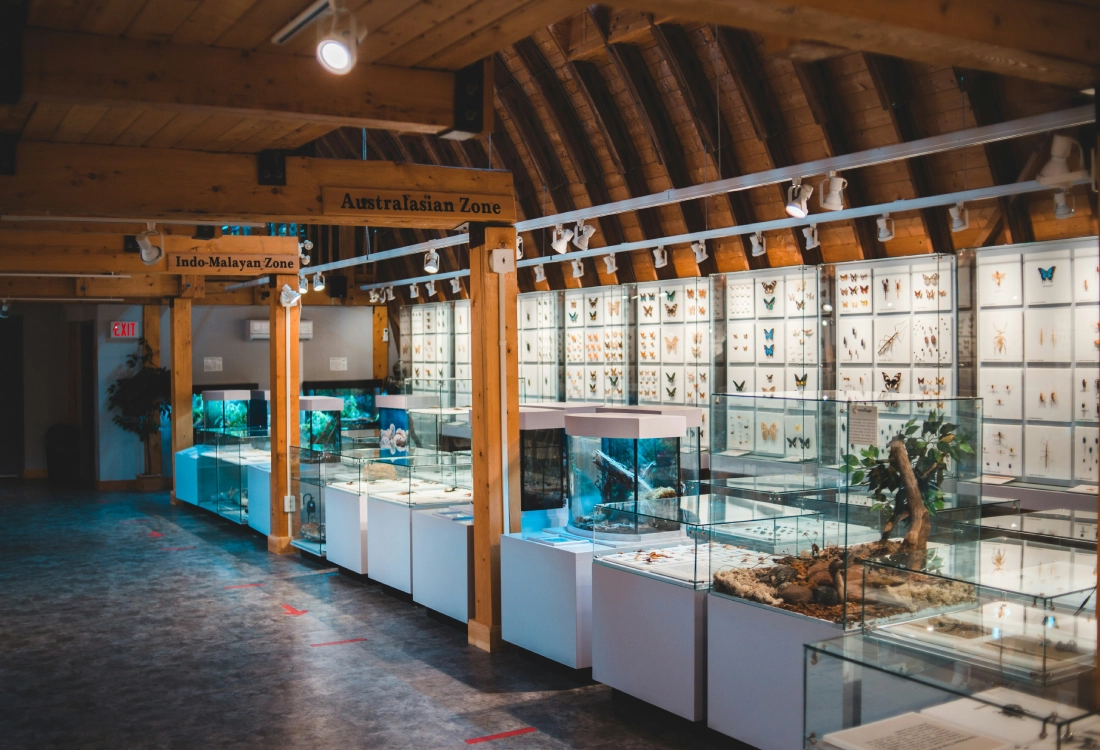 Showroom Lighting Design