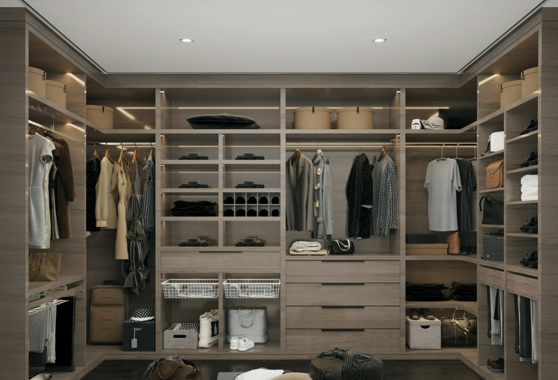 Organization